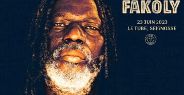 Best Tiken Jah Fakoly Greatest Hit Songs DJ Mix; Mixtape